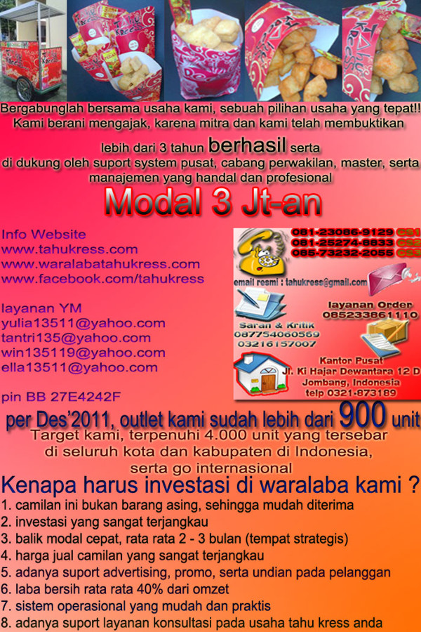 Bisnis Tahu Kresss