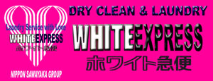 Logo Franchise White Express