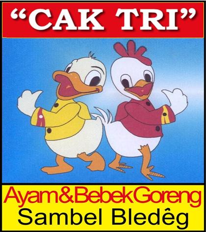 Logo Ayam & Bebek Goreng Sambel Bledeg "Cak Tri"
