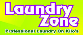 Logo Laundry Zone