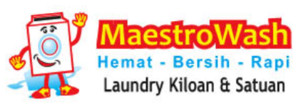 Logo Maestrowash