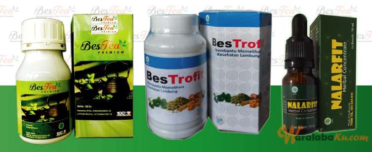 Franchise Peluang Usaha Obat Herbal - Bestea Indonesia