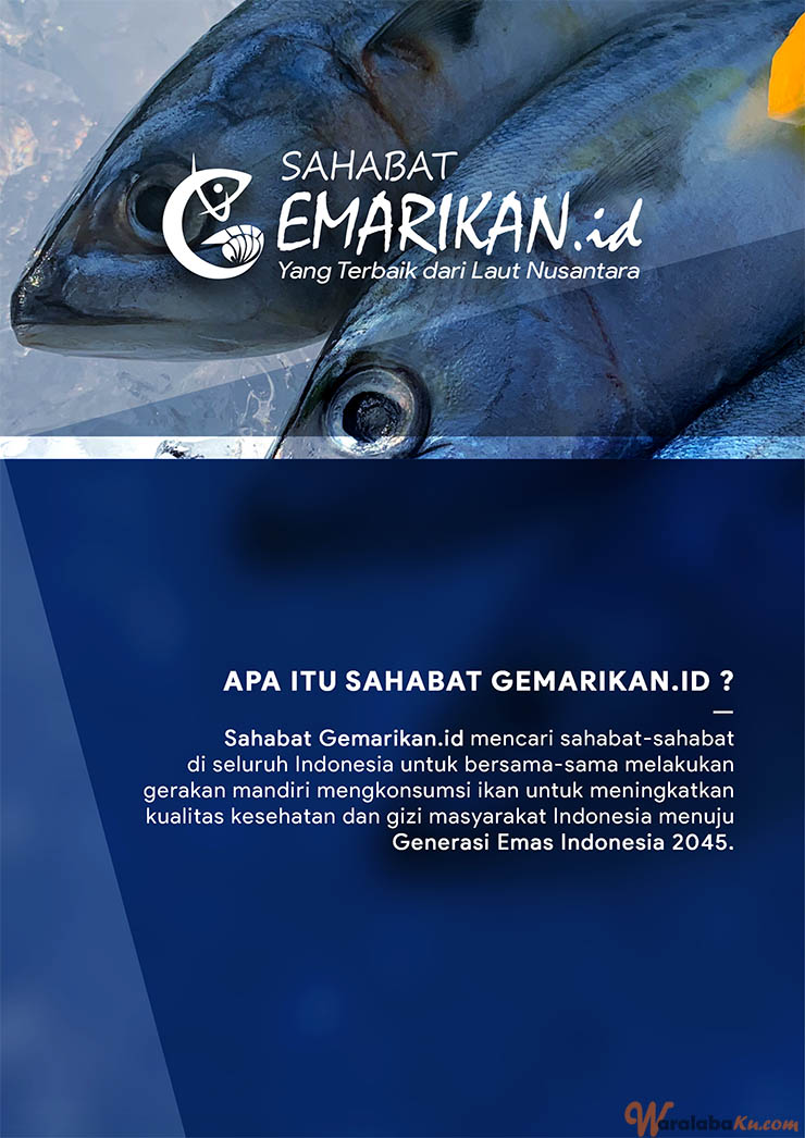 Franchise Peluang Usaha Ikan Beku - SAHABAT GEMARIKAN.ID