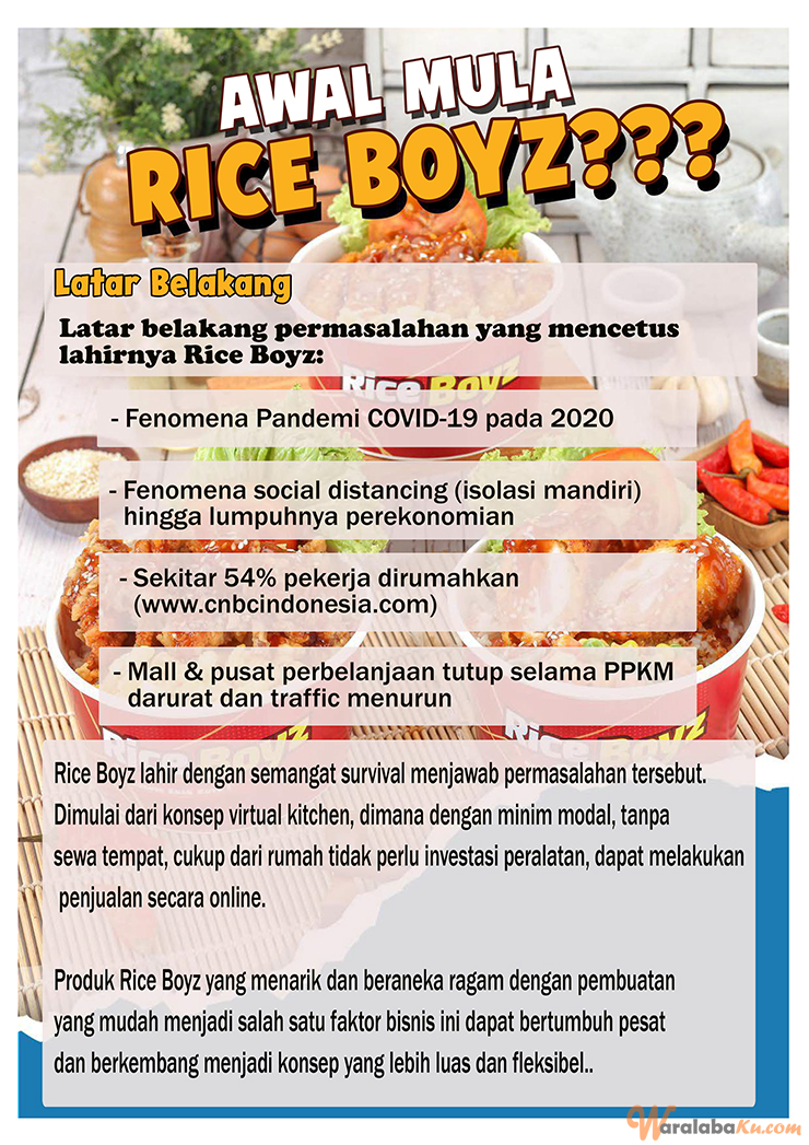 Peluang Bisnis Usaha Rumahan Rice Bowl Murah Modal Kecil