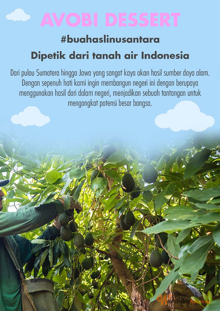 Peluang Usaha Bisnis Minuman Es Buah ~ Avobi