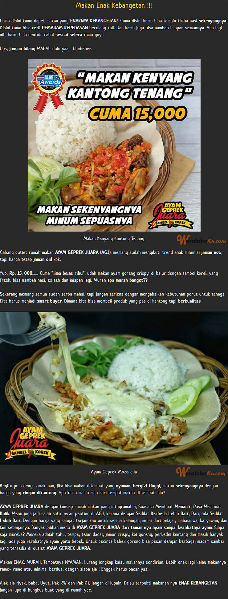 Franchise Peluang Usaha Ayam Geprek Juara