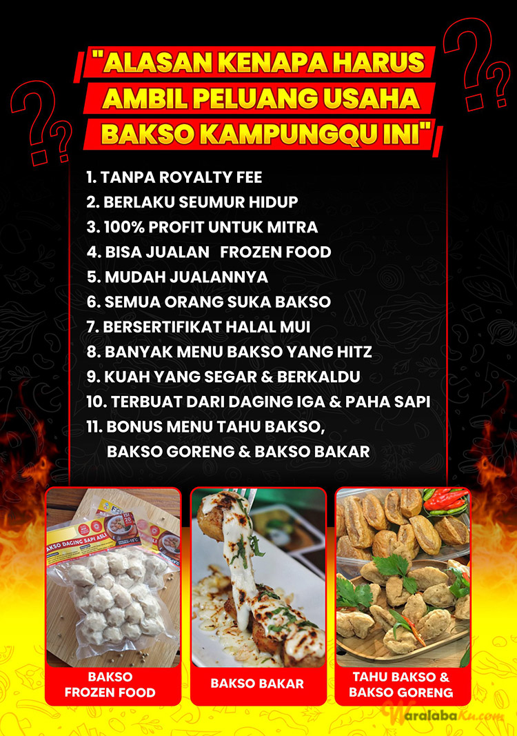 Peluang Usaha Bisnis Makanan Bakso