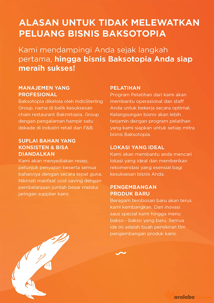 Franchise Peluang Usaha Makanan Bakso - Baksotopia