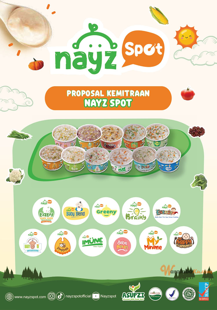 Franchise Peluang Makanan Bubur Bayi Sehat