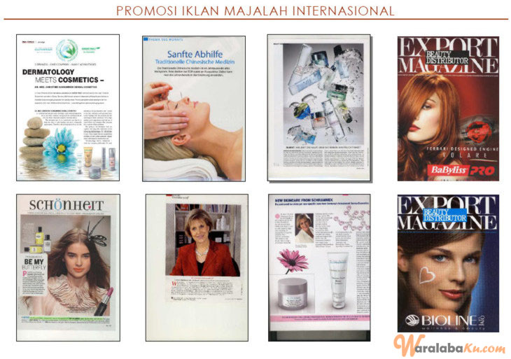 Franchise Peluang Usaha International Beauty & Spa