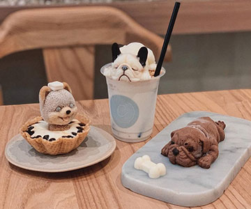 Franchise C For Cupcakes & Coffee ~ Peluang Bisnis Pet Cafe Cup Cake Coffee