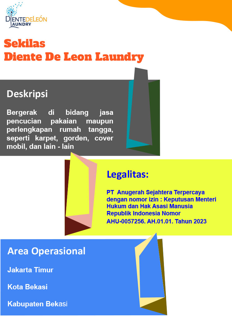 Kemitraan Peluang Bisnis Laundry Diente De Leon