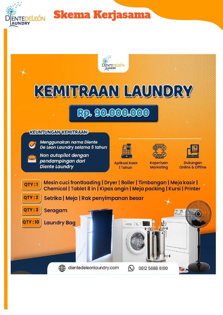 Kemitraan Peluang Bisnis Laundry Diente De Leon