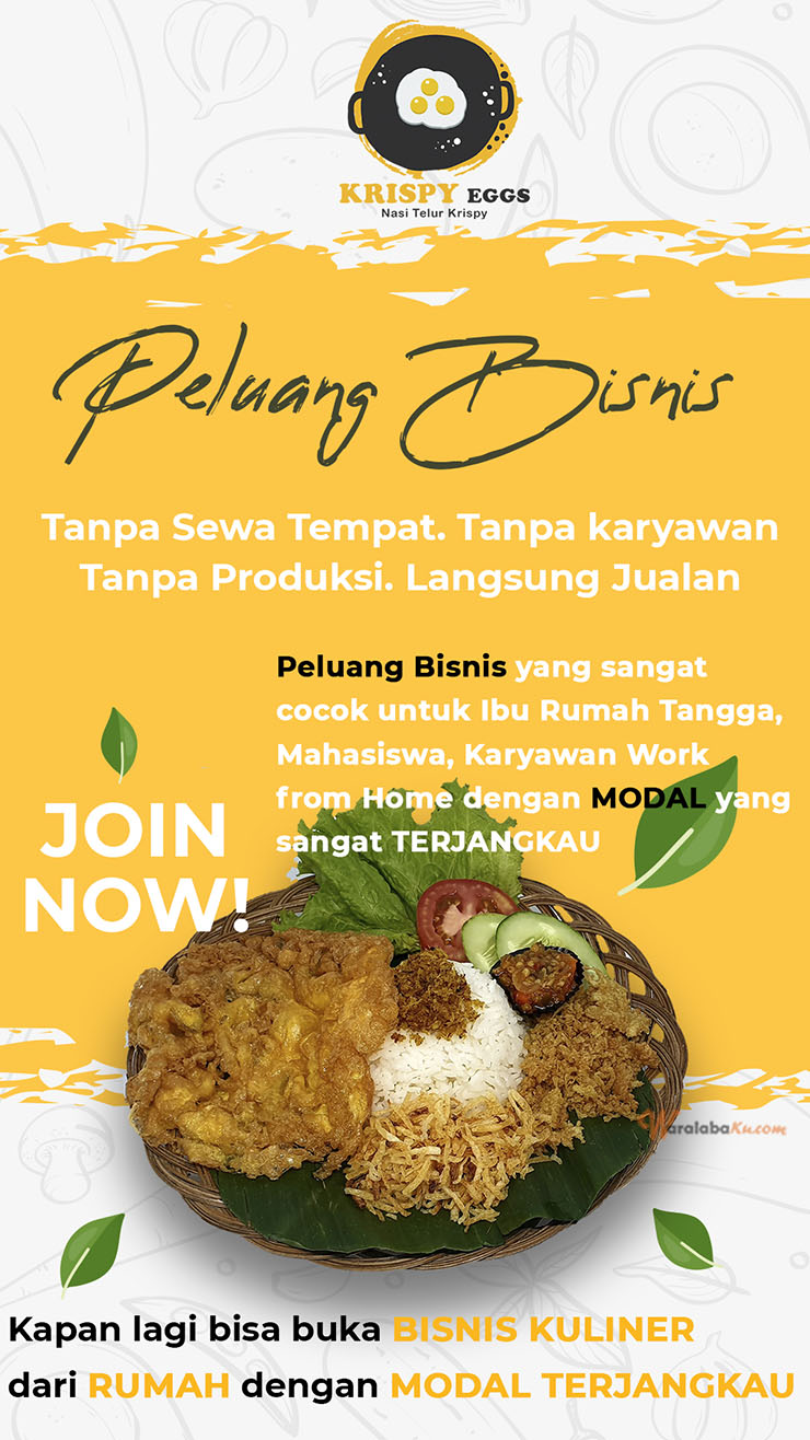 Franchise Peluang Usaha Makanan Nasi Krispy Nusantara | Krispy Eggs