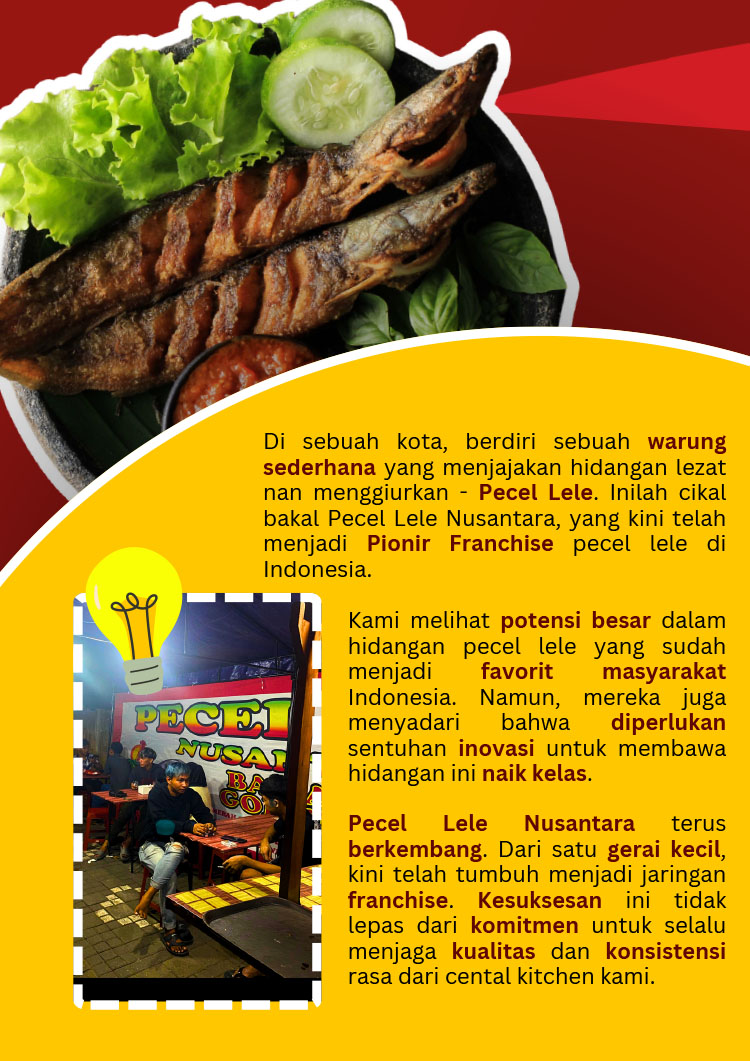 Kemitraan Peluang Bisnis Warung Pecel Lele Nusantara Bisnis Autopilot