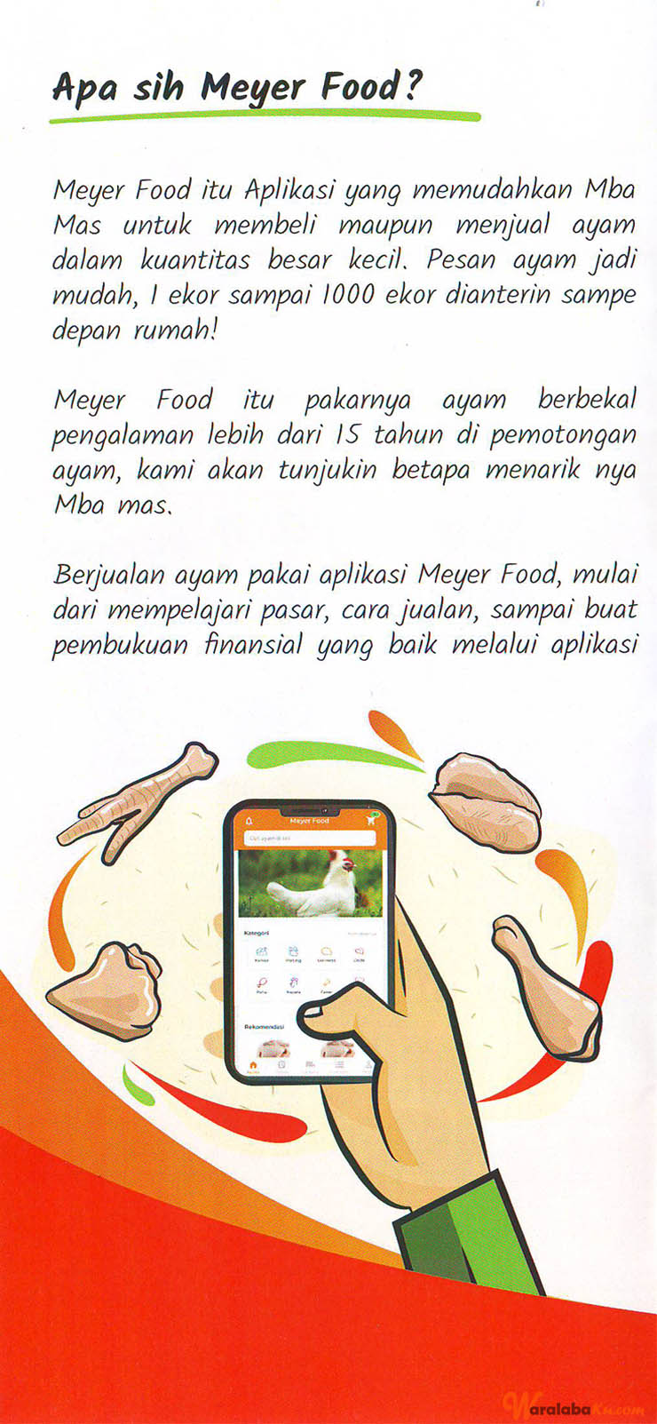 Franchise Peluang Usaha Meyer Food