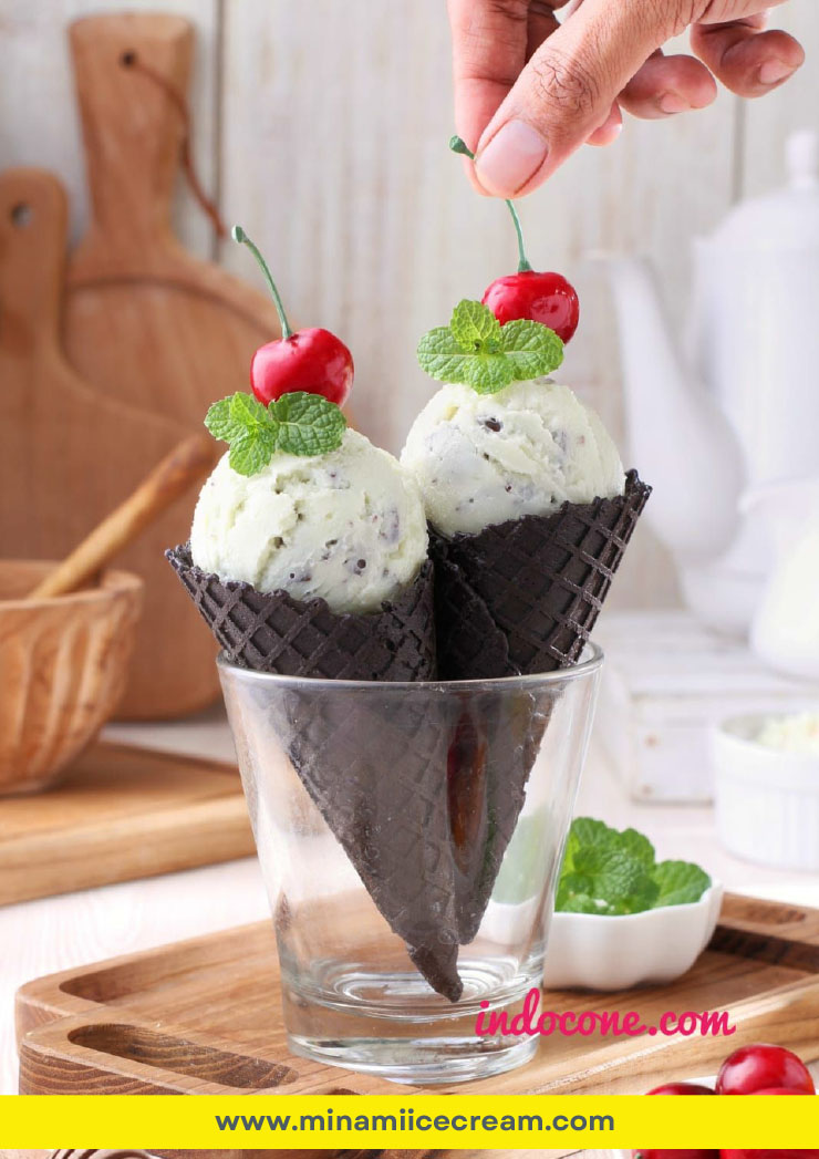 Kemitraan Peluang Bisnis Es Krim Cone Minami