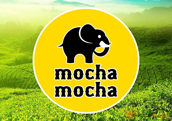 Franchise Peluang Usaha mocha