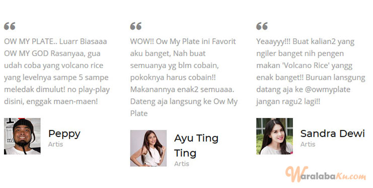 Franchise Ow My Plate ~ Peluang Bisnis Resto Makanan Asia