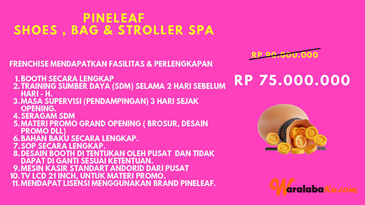 Franchise Peluang Usaha Cuci Sepatu