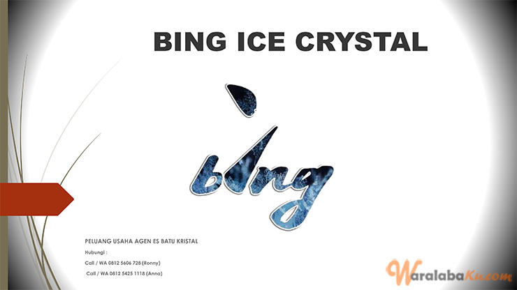 Franchise Peluang Usaha Suplier Es - BING Kristal