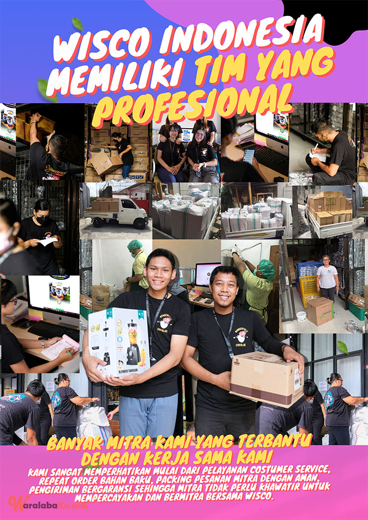 Franchise Peluang Usaha Minuman Kekinian | WISCO ICE