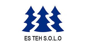 Logo Es Teh Solo