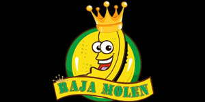 Logo Raja Molen