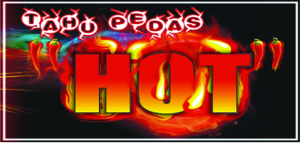 Logo Tahu Pedas HOT